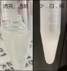 1634604670931061.jpg 5.jpg