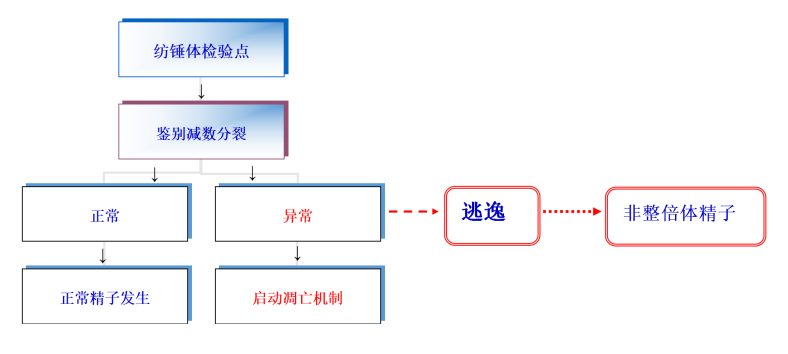 1634604687954890.png 4.png