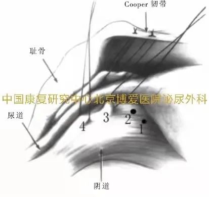 1634695247420363.jpg 7.jpg
