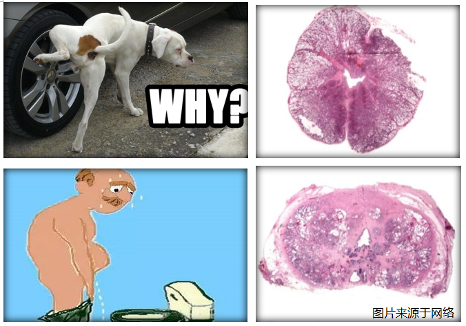 1636681291608370.png 2.png
