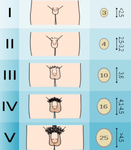 1637888475403620.png 6.png