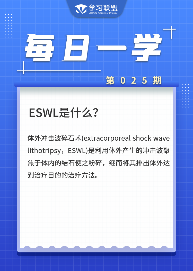 1643018406587423.png 25.png
