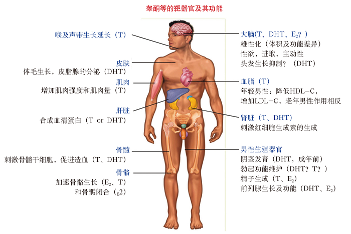 1645413307464233.png 图片4.png