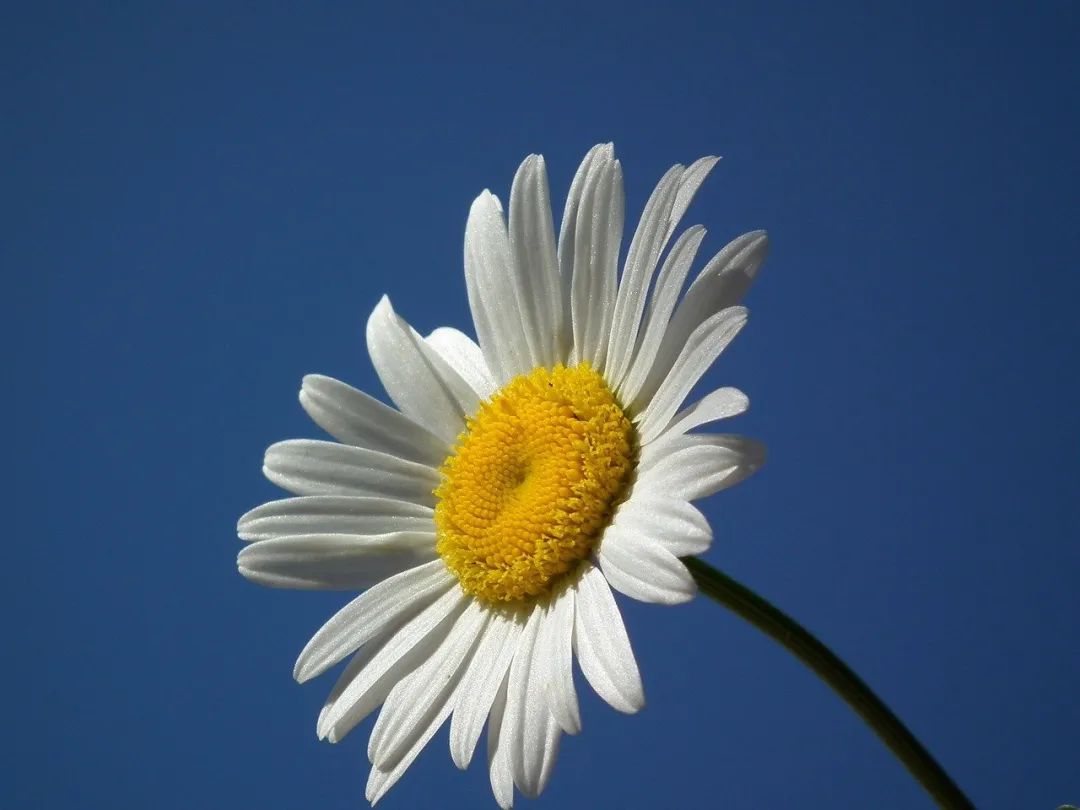 1645520130581888.png 4.png