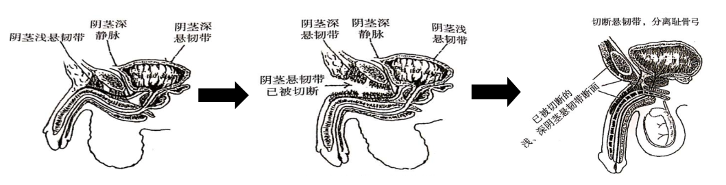 1646118683860177.png 640 (5).png
