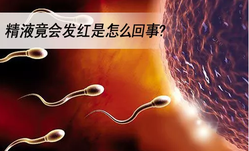 1646190694565422.png 640 (2).png