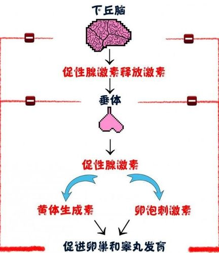 1648439661649483.png 图片3.png
