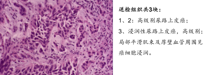 图3.png