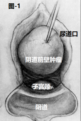 1649830171756969.png 1.png