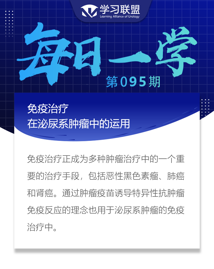 1652079236572306.png 95.png