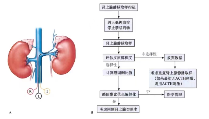 1652750700113117.jpg 图三.jpg