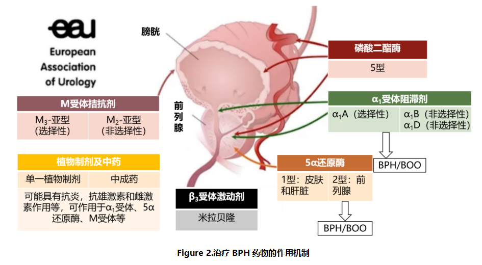 图3.png