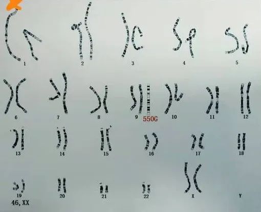 1661397636744682.jpg 640.jpg