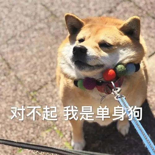 1663556863988894.jpg 640 (8).jpg