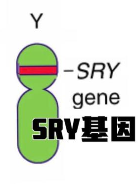 1663659053273608.png 640 (1).png