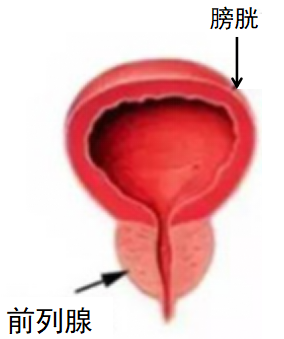 640 (1).png