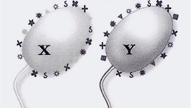 1664184165430989.png 640.png