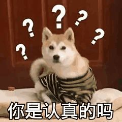 1665196644449693.jpg 640.jpg