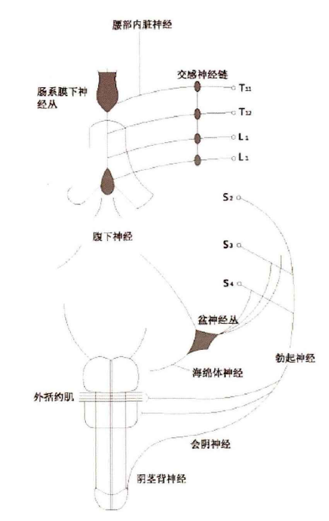 1665381091886256.png 640 (1).png