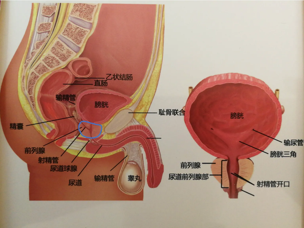 1665387364276450.png 640 (1).png