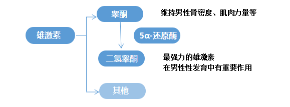 640 (1).png