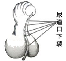 640 (3).png