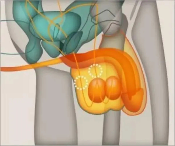 1667376747925129.png 640 (1).png