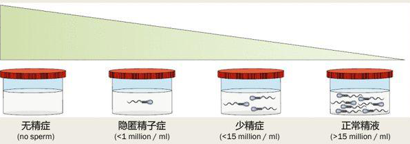 1667790239940112.png 640 (3).png