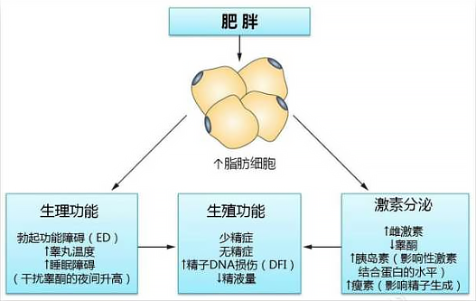1671692376982338.png 640 (4).png
