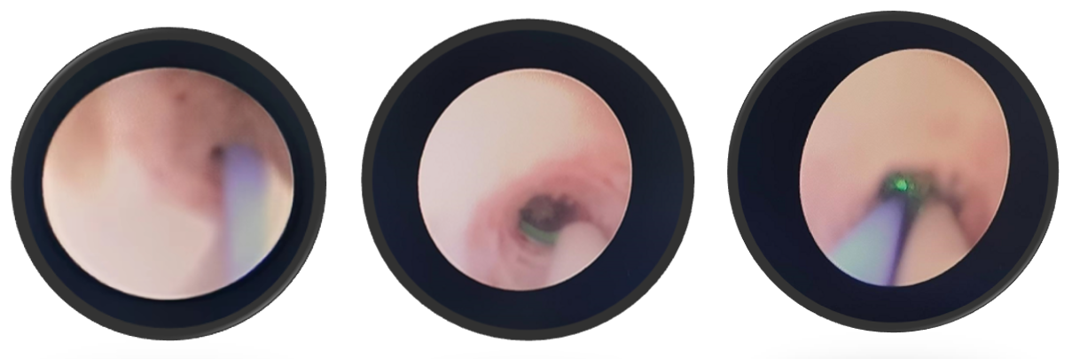1672991057285544.png 4.png