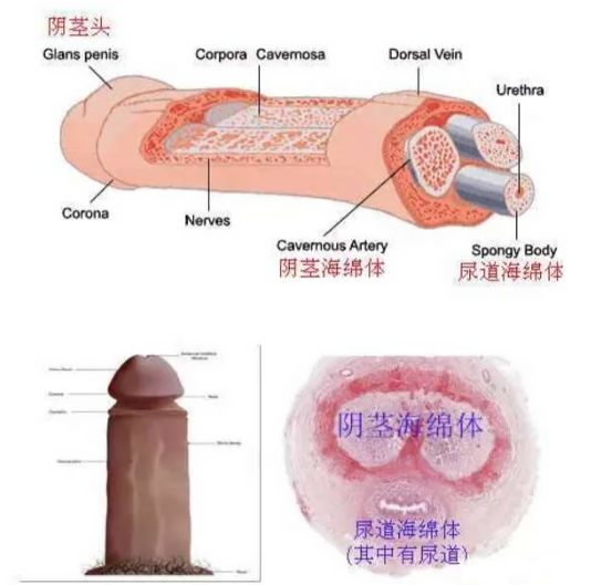 1673401859473067.png 640 (2).png