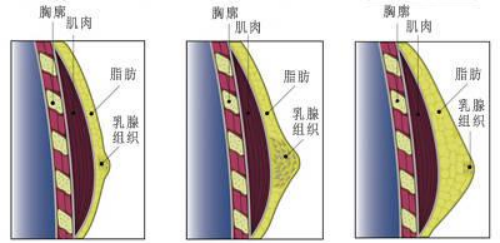 1674006086831733.png 640 (3).png