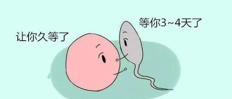 1674009407889675.png 640 (1).png