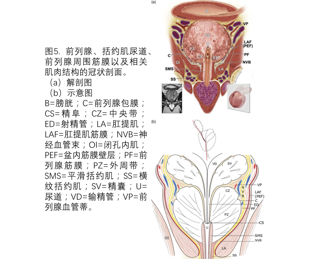 1675653494379658.png 640 (3).png