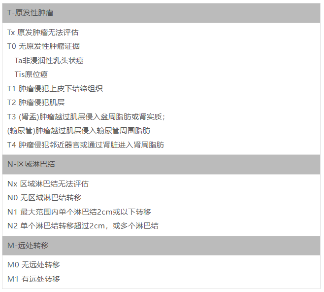 无标题.png
