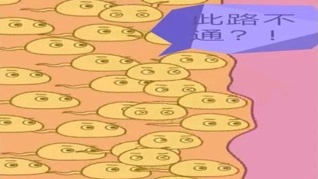1675760946667008.png 640 (2).png