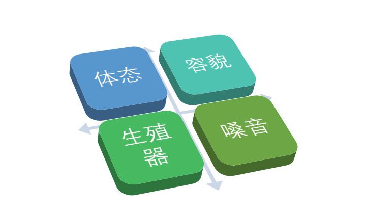 640 (2).png