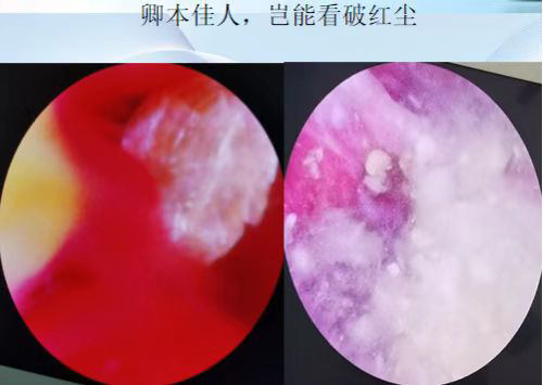 1678176834277941.png 640 (15).png