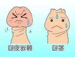 1678851924744649.png 640 (7).png