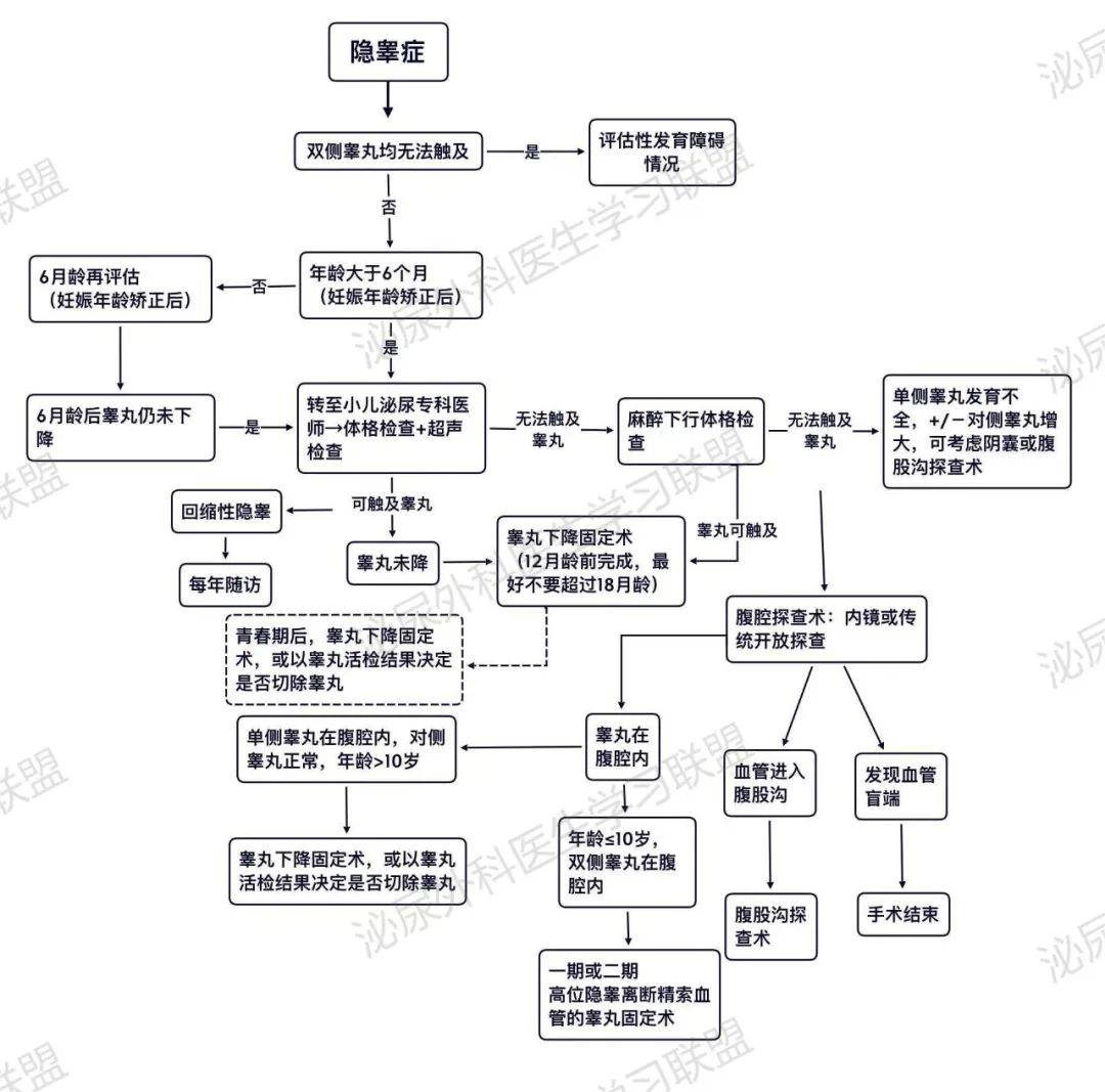1679988024989367.jpg 2.jpg