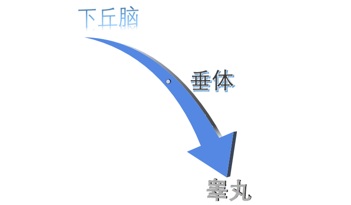 640 (7).png