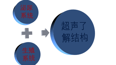 640 (6).png