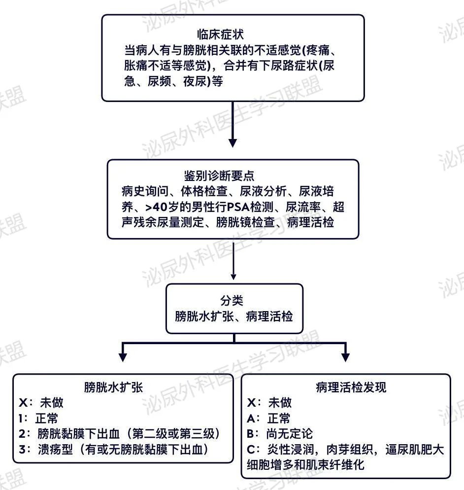 1680599308355571.jpg 图1.jpg