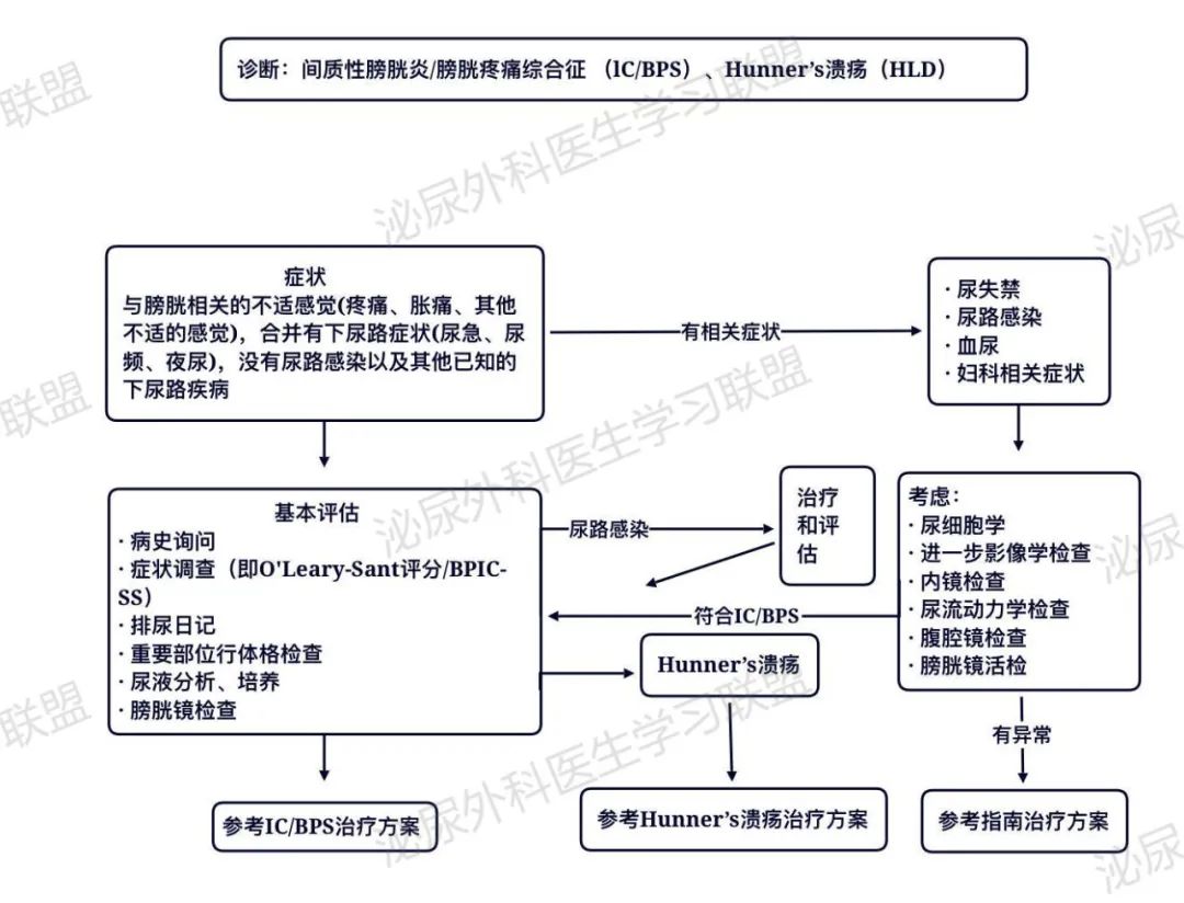 1680599525644330.jpg 图2.jpg