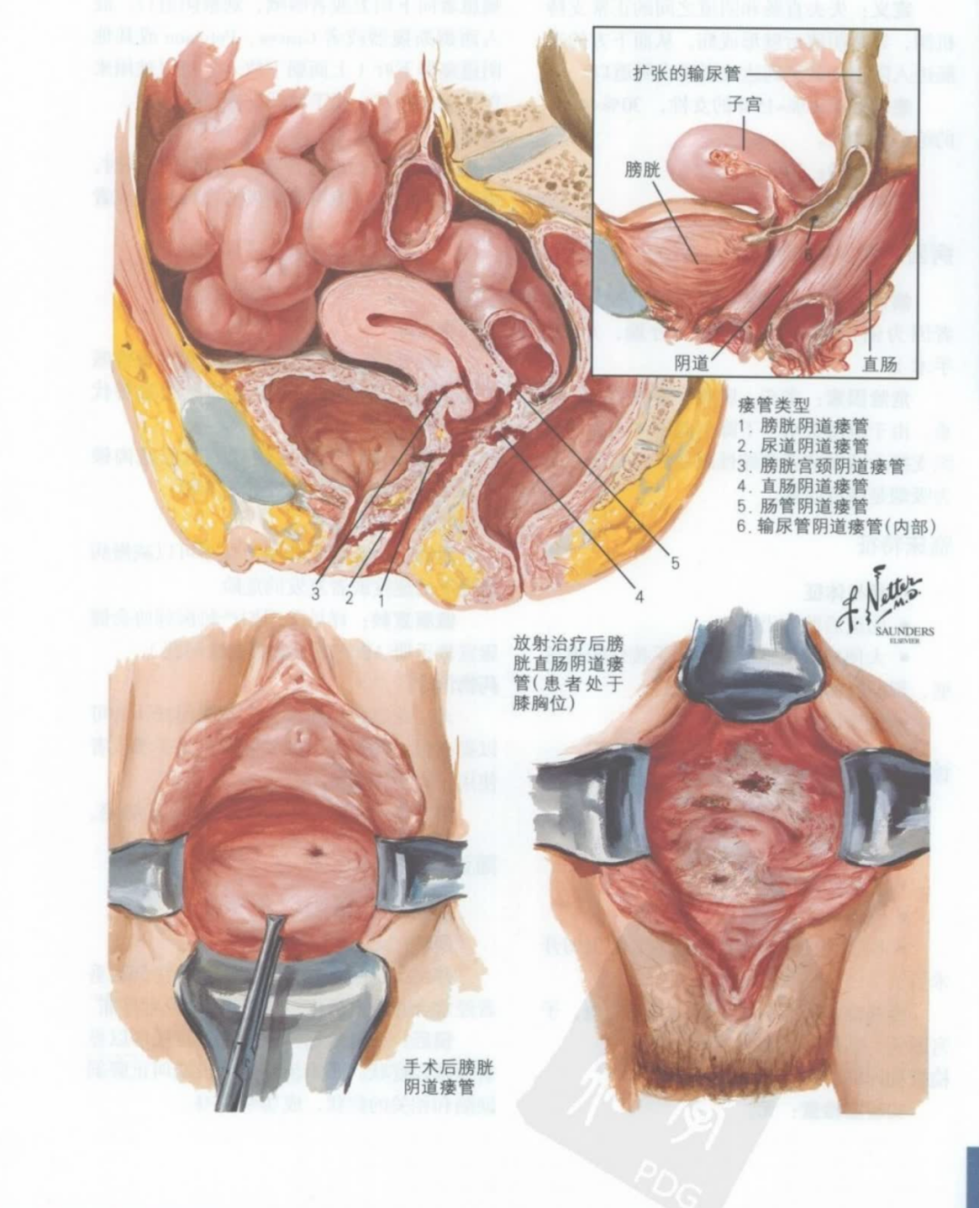 微信图片_20230519111421.png