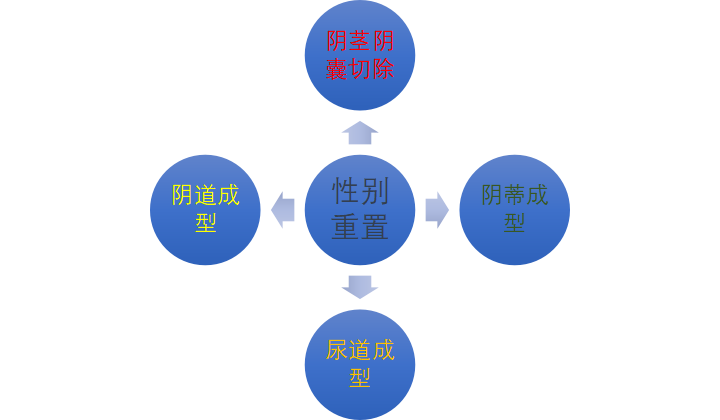 1684480583845305.png 640 (1).png