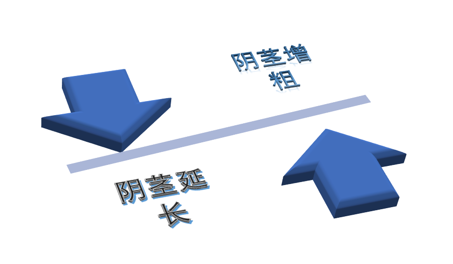 052603.png