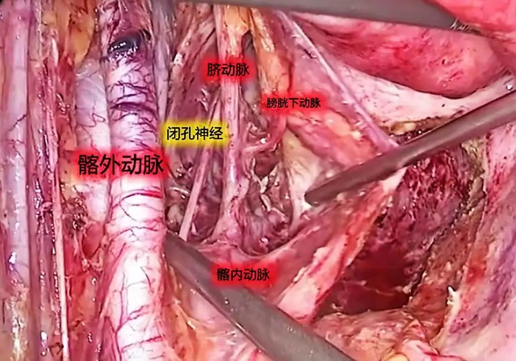 图片19.png