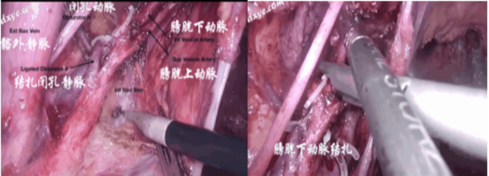 图片20.png