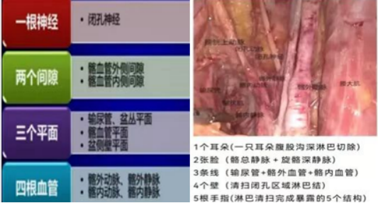 图片70.png